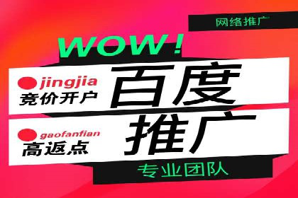 某某SEM服务公司成功案例：从数据出发的营销策略